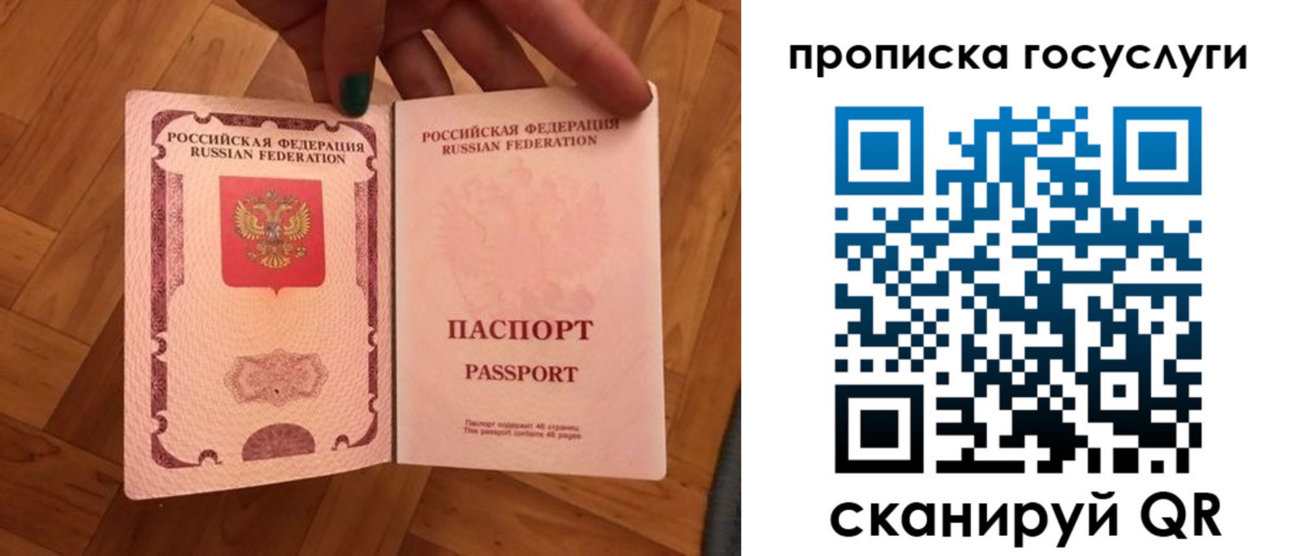где прописаться в Павловске